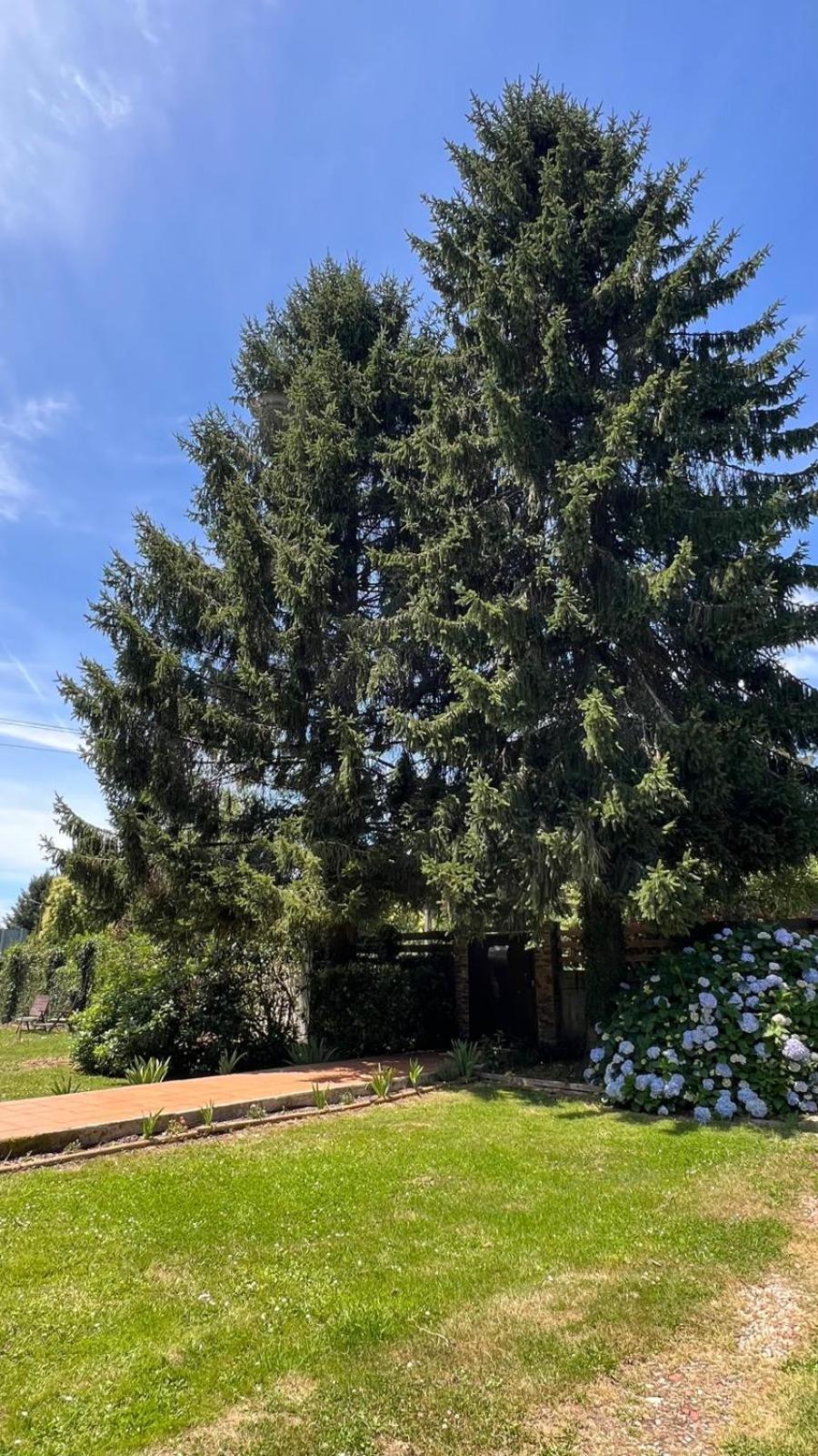 Twin Pines Camino Norte Arzúa 外观 照片
