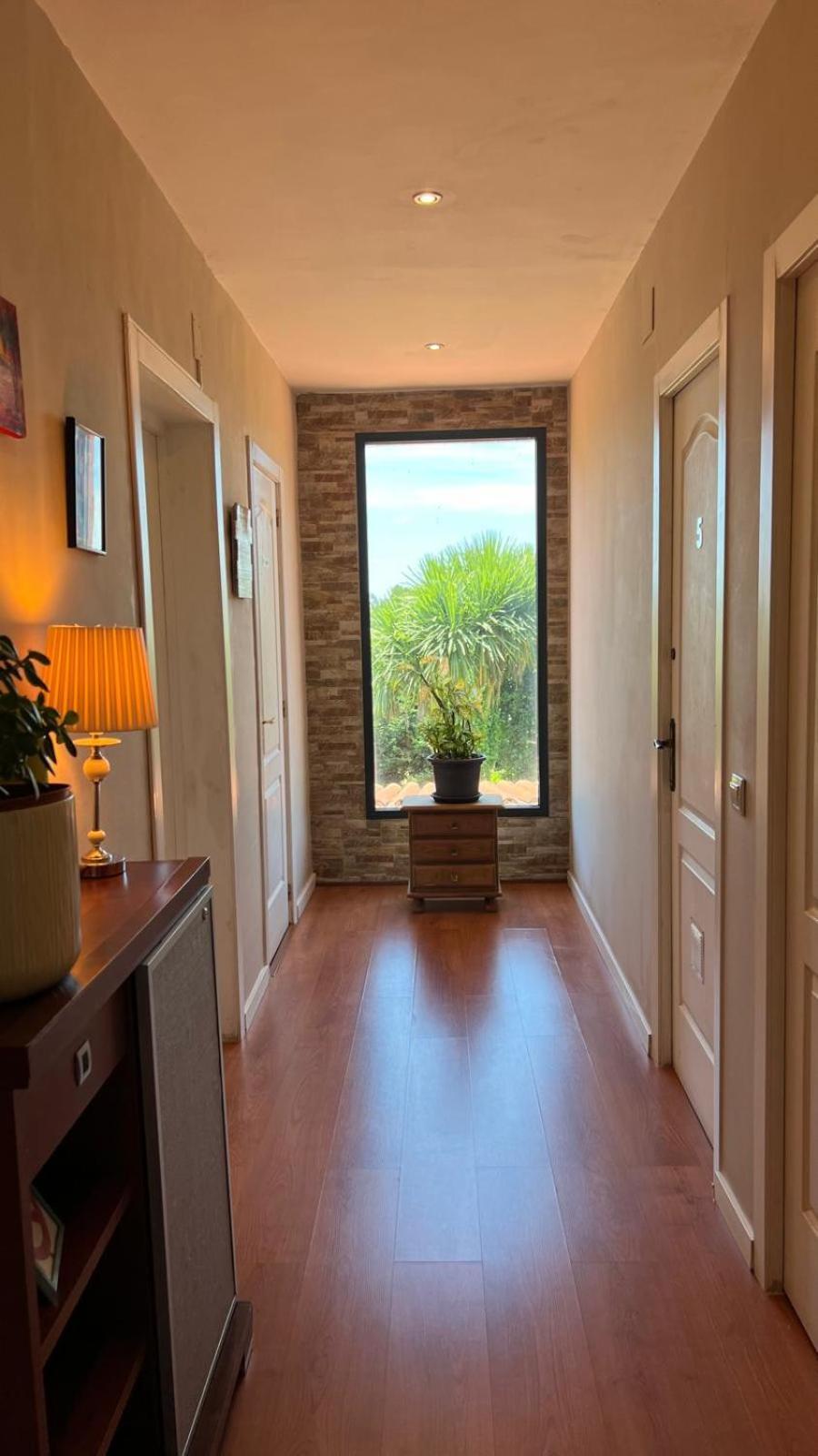 Twin Pines Camino Norte Arzúa 外观 照片